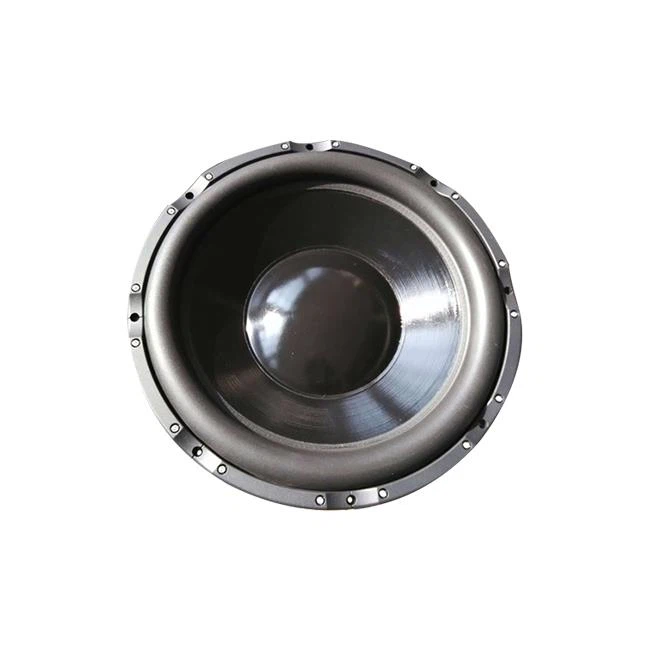 24inch-speaker