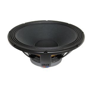 اسپیکر صوتی حرفه ای 15 اینچ