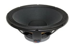 بلندگو 15 اینچ Stage Pro